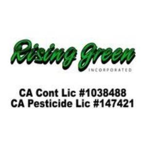 Rising Green Inc Tree & Landscaping